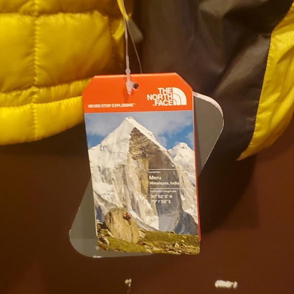 Jacket - Picture 3 of 5